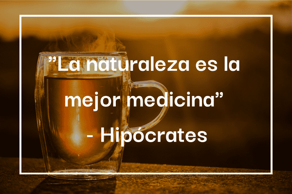 plantas medicinales según hipócrates